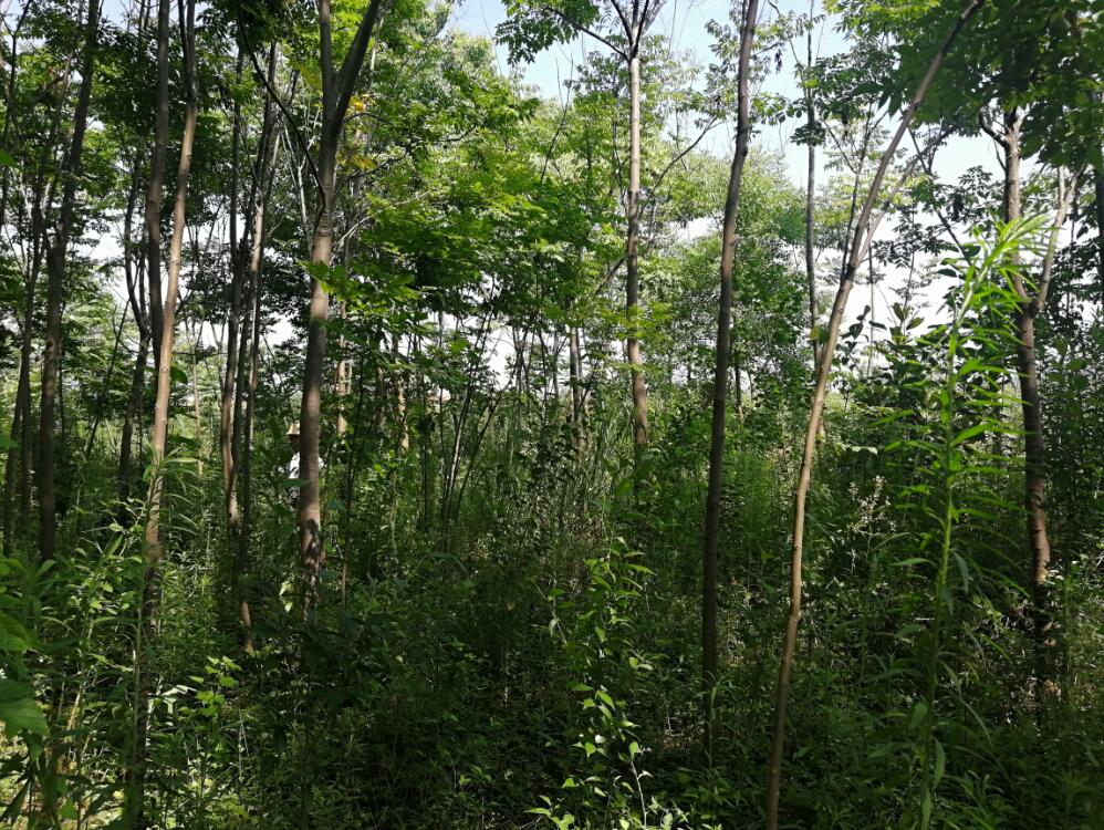 �Ϸ���**�@�ֹ������޹�˾λ�ںϷ�**�_�l�^**��^**��248.265�������ϵ���ľ�Ј��r���u��