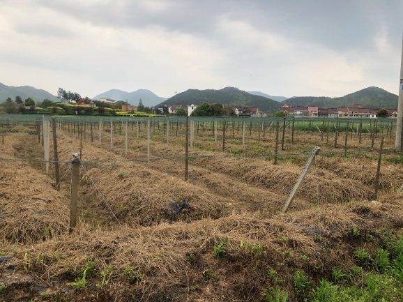 �~��۽����ۅ^(q��)�F·���þ��漰λ�ژ��(y��ng)�h�X��(zh��n)�Ĺ��V�������o���O(sh��)ʩ�a(b��)���r(ji��)���u(p��ng)��